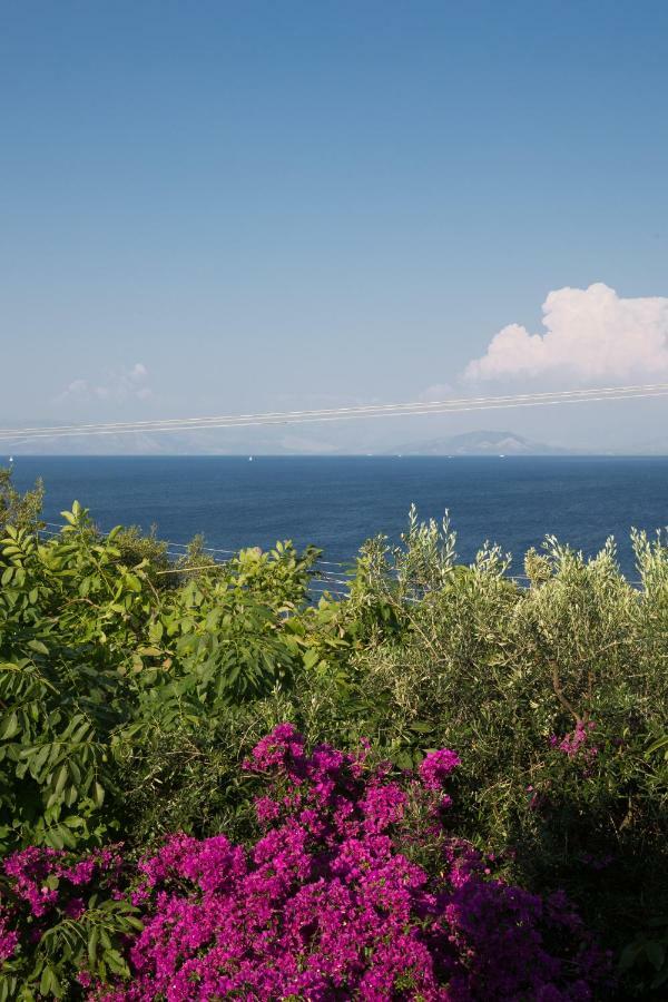 Ionian Garden Villas - Villa Pietra Беніцес Екстер'єр фото